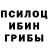Галлюциногенные грибы Cubensis Bonnie Channel