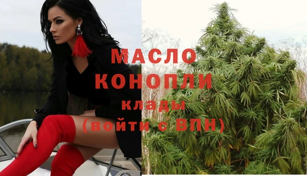молекула духа Балахна