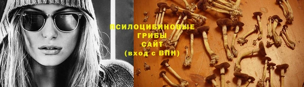 молекула духа Балахна